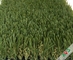 Des langlebigen Gutes vier künstliches Gras der Ton-hybriden Wellen-12400Dtex/8f im Freien mit w-Kreis und S Wing Blade fournisseur
