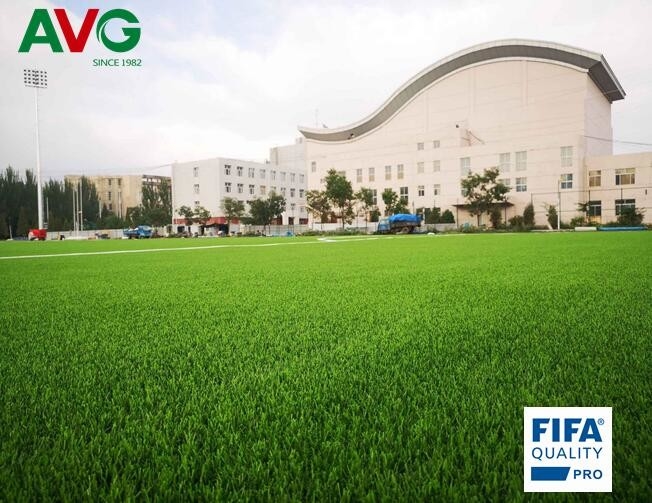 neueste Unternehmensnachrichten über AVG kommt das erste gesponnene Gras-System in China  0