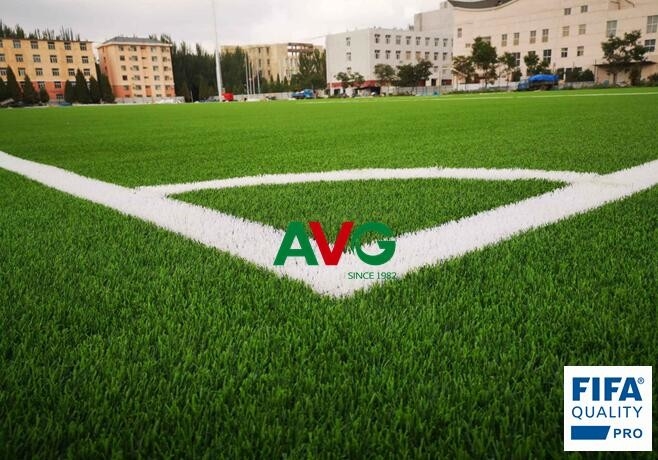 neueste Unternehmensnachrichten über AVG kommt das erste gesponnene Gras-System in China  1