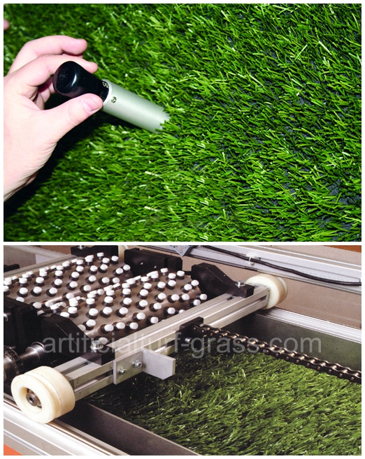 All Victory Grass (Guangzhou) Co., Ltd Qualitätskontrolle 0