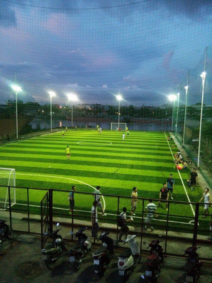 Teppich des Fußball-Gras-50mm künstlichen Gras-Fußball-Fußball-Teppich mit Gras bedecken 0