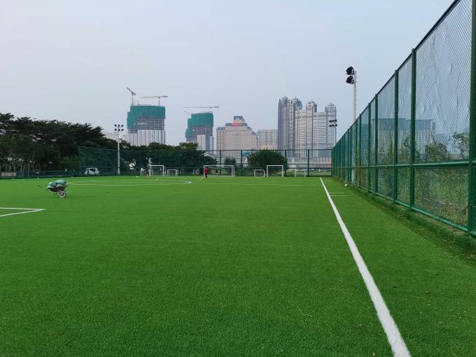 Profifußball-künstlicher Gras-Sport, der für Fußball ausbreitet 0