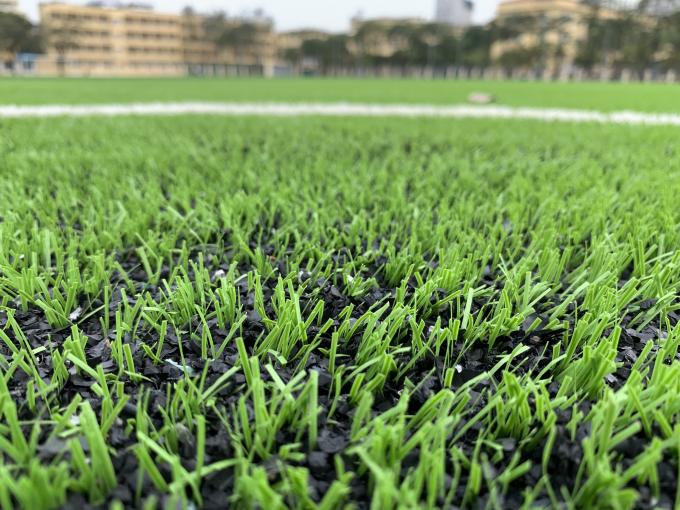 Rasen-Gras-Teppich AVG 60mm für den Fabrik-Fußball-Fußballplatz im Freien 0