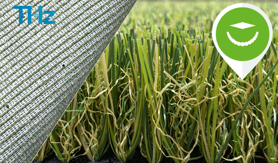 CHINA Grüne Farbinnenplastikrasen, der synthetischen künstlichen Schutzträger des Rasen-Teppich-Gras-THZ landschaftlich gestaltet fournisseur