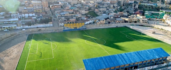 CHINA Realistische Höhen-künstliche Fußball-Gras-Einzelfaden-Struktur des Blick-60mm fournisseur