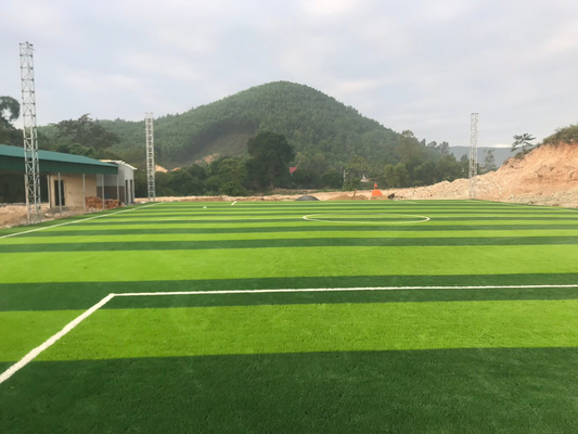 CHINA Sport-Rasen-künstliches Gras des Fußball-Gras-Fußball-Gras-55mm fournisseur