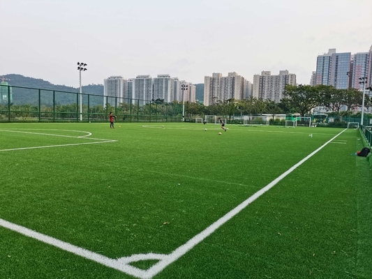 CHINA künstlicher Gazon künstlicher Fußball-Rasen 55mm Fußball Cesped Synthetique fournisseur