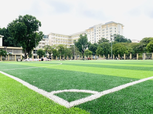 CHINA 55mm Baseball-Fußballplatz-Gras-synthetischer Fußball-grüner künstlicher Rasen fournisseur