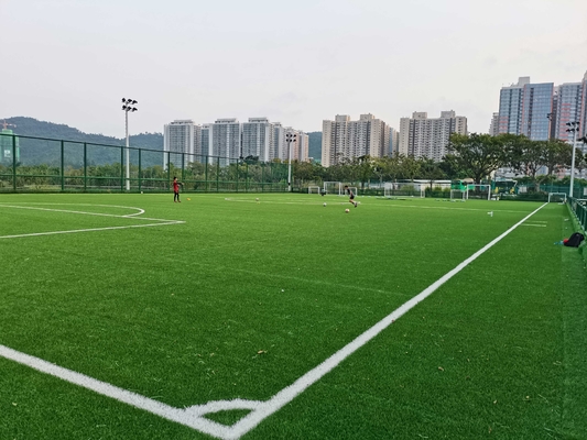 CHINA Gras-Fußball-Rasen Beruf Cesped künstlicher mit Fabrikpreis 55mm fournisseur
