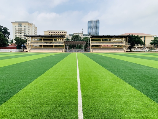 CHINA 55mm künstlicher Gras-Sport, der für Fußball-Fußballplatz ausbreitet fournisseur