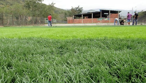 Künstliches Gras für Garten-Chemiefasergewebe ausbreitend, bedecken Sie 35mm künstliches Gras mit Gras fournisseur