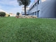 Stoff des 60mm Garten-künstlicher Gras-pp. plus verstärktes Nettowasser-Zurückhalten fournisseur