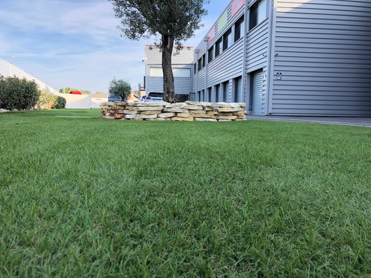 Rasen 25mm C landschaftlich gestaltend, formen Sie künstliches Gras für Garten-Landschaftsgras fournisseur