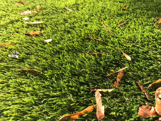 Natürliche Farbe des Garten-künstliche Teppich-Gras-Rollen25mm fournisseur