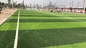 Qualitäts-anerkannter Fußball-synthetischer Prorasen-künstliches Gras u. Sport-Bodenbelag 55mm fournisseur
