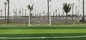 60mm Beruf-synthetischer Rasen-künstlicher Gras Cesped-Fußball-künstlicher Rasen für Sport-Bodenbelag fournisseur