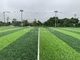 FIFA-Rasen-Fußball bedecken 40mm Fußball-Rasen-künstlichen Gras-Fußball mit Gras fournisseur