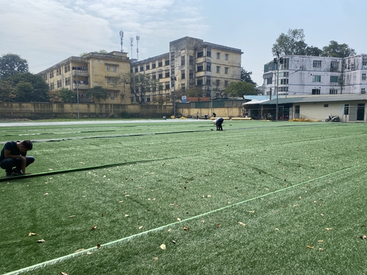 Gefälschtes Fußball-Gras PET Zusammensetzungs-50mm für Innen im Freien fournisseur