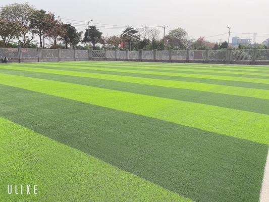 Höhe einzigartiger Diamond Reinforced des zarter grüner Fußball-künstliche Rasen-55m fournisseur
