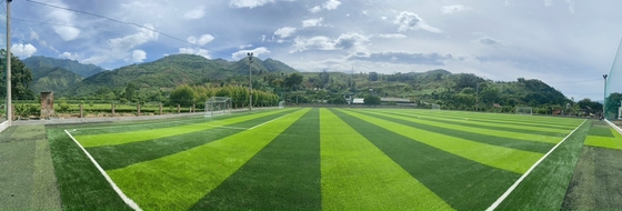 60mm multi Zweck-künstliches Fußball-Gras für Hallenfußball-Feld im Freien fournisseur