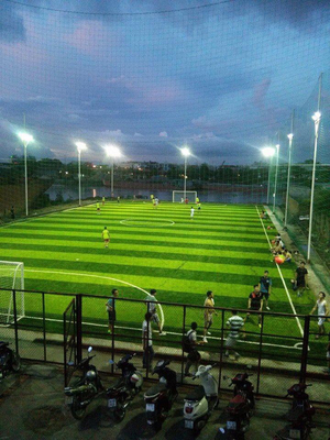 Teppich des Fußball-Gras-50mm künstlichen Gras-Fußball-Fußball-Teppich mit Gras bedecken fournisseur