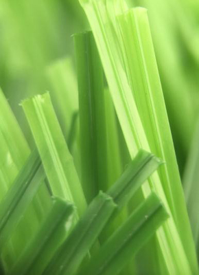 Sport-Rasen-künstliches Gras des Fußball-Gras-Fußball-Gras-55mm fournisseur