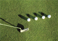 Künstliches Golf-Gras Autumn Spring Sport Putting Greens mit Schock-Auflagen-Wiese fournisseur