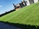 20-50mm künstlicher Gras-Boden Fakegrass-Rasen-grüner Teppich im Freien fournisseur