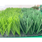 Pp.-Linon-Schutzträger-Fußball-synthetische Gras-Einzelfaden-Struktur fournisseur