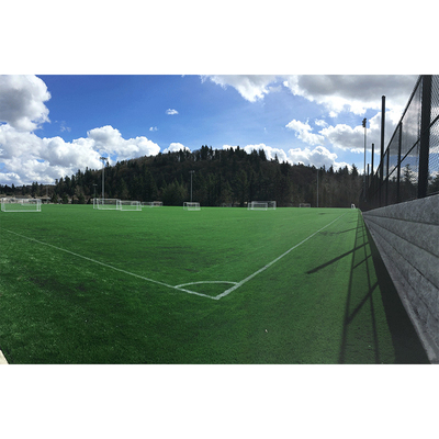 8500 Dtex Outdoor-Grasteppich, 2 m/4 m Breite, PP + Netzrücken, Fußball-Kunstrasen